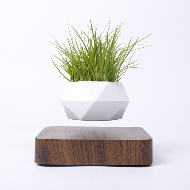 Vaso per piante a levitazione magnetica