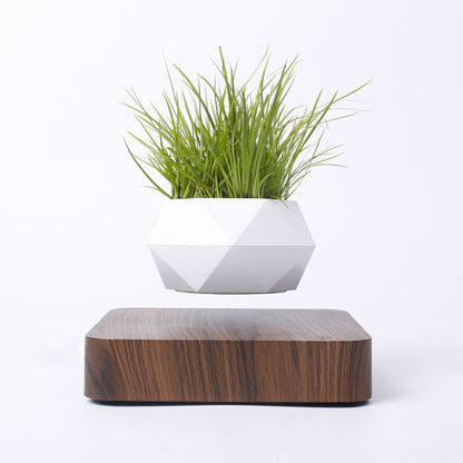 Vaso per piante a levitazione magnetica