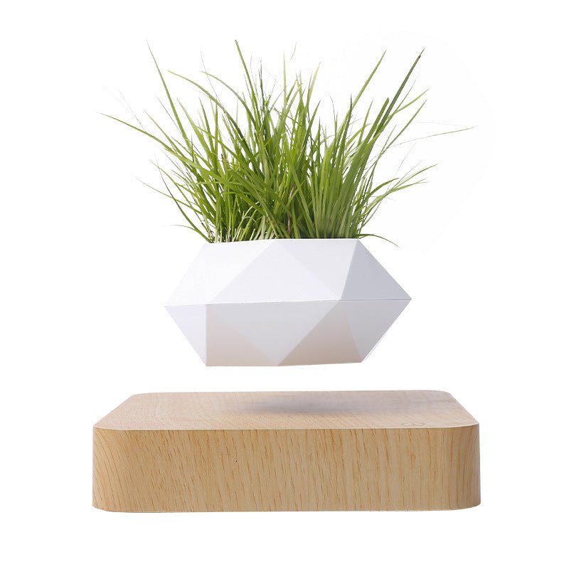 Vaso per piante a levitazione magnetica