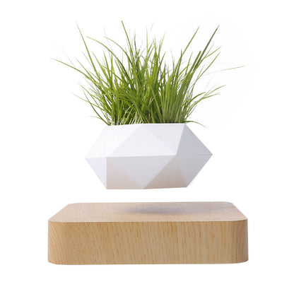 Vaso per piante a levitazione magnetica