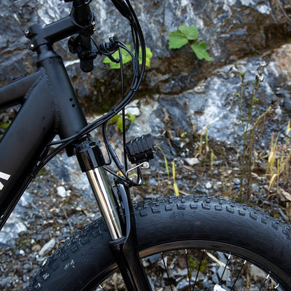 Bici elettrica professionale display LCD controllo velocità