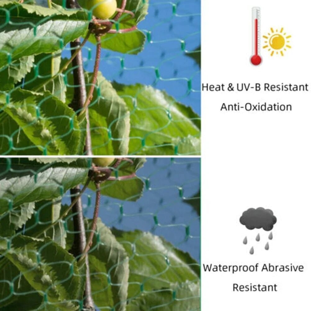 rete antiuccello 10m installazione facile protezione giardino laghetti