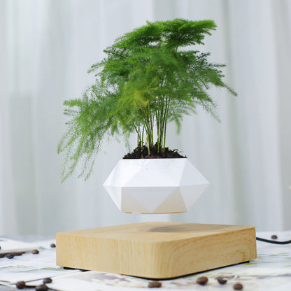 Vaso per piante a levitazione magnetica