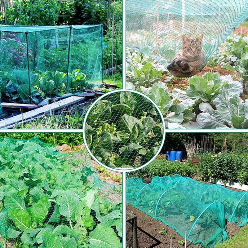 rete protettiva antiuccello giardino 10 metri laghetti piante frutti