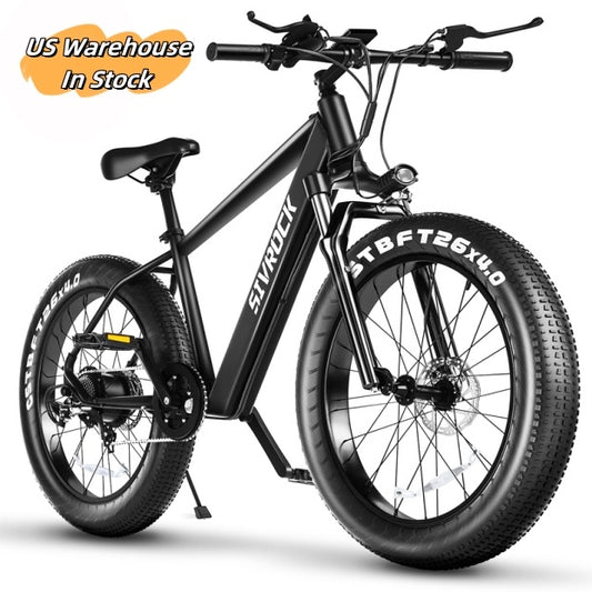 Bici elettrica professionale e-bike batteria litio motore potente