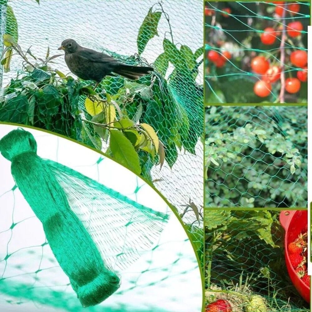 maglia protettiva uccelli 10 metri giardino colture alberi frutti