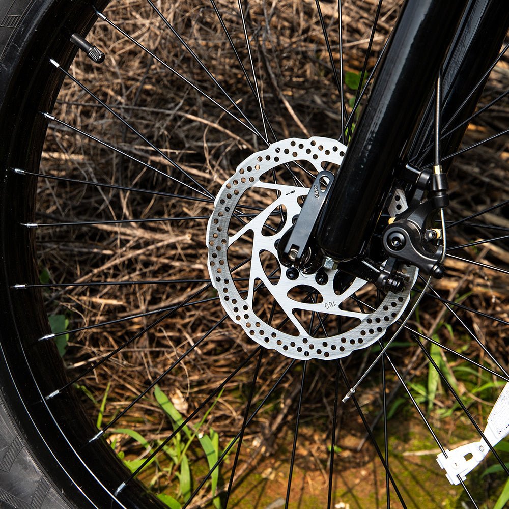 Bici elettrica professionale ruote pneumatici resistenti strada