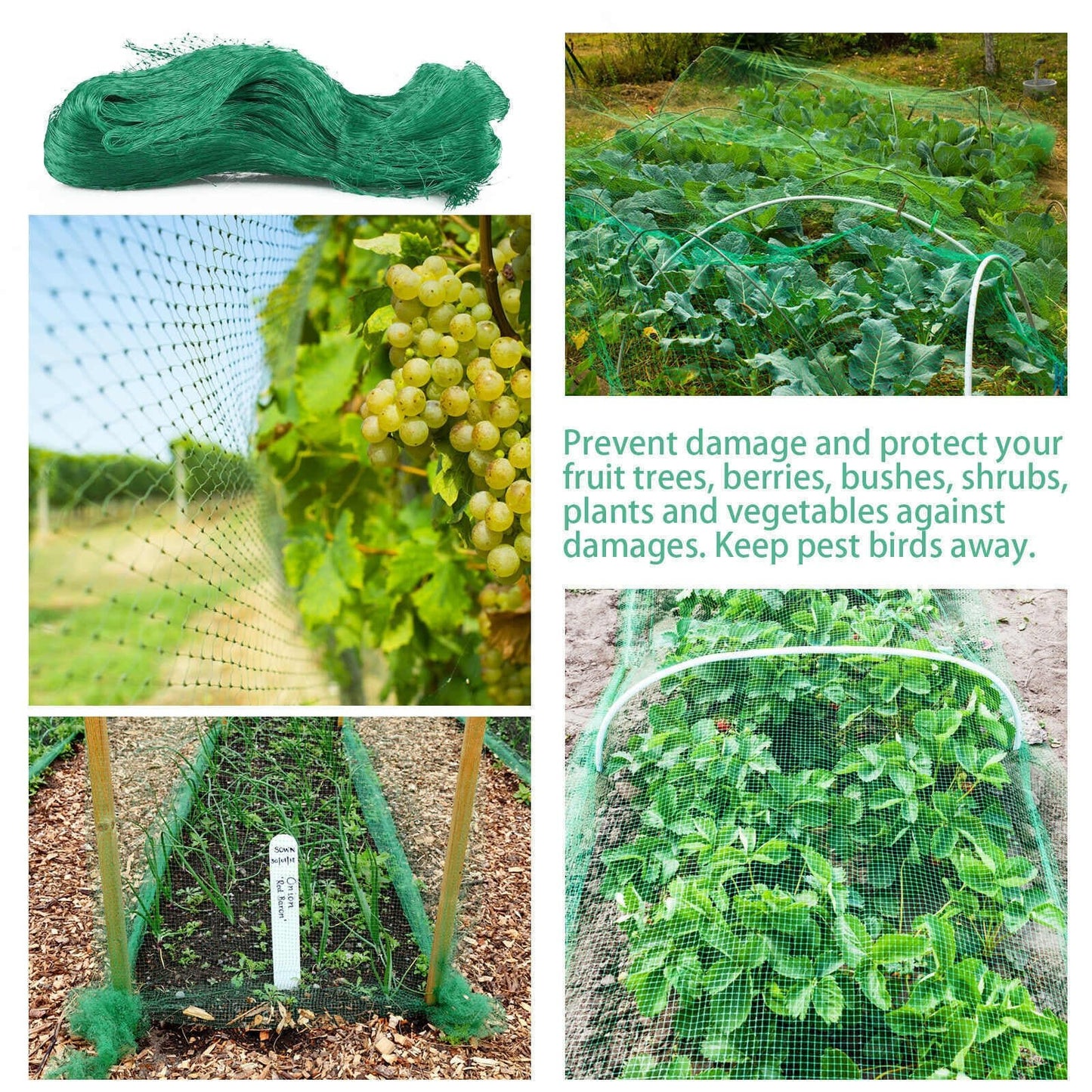installazione rete antiuccello 10m protezione colture piante giardino